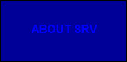 srv_sales002009.jpg